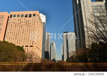新宿中央公園　白糸の滝とビル街 116128992