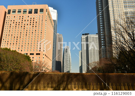 新宿中央公園　白糸の滝とビル街 116129003