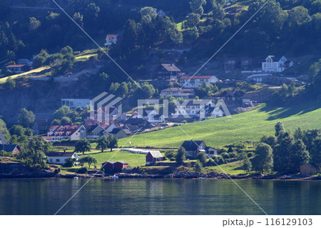 ノルウェーフィヨルドの峡谷の立つ家並み 116129103