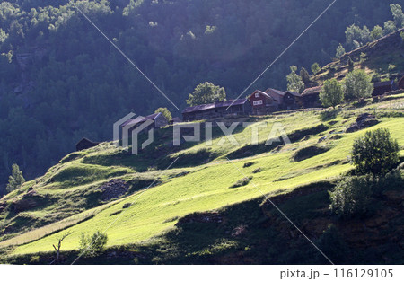 ノルウェーフィヨルドの峡谷に立つ家並み ノルウェーフィヨルドの峡谷に立つ家並み 116129105
