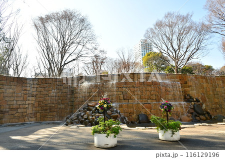 新宿中央公園　白糸の滝 116129196
