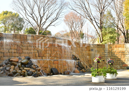 新宿中央公園　白糸の滝 116129199