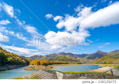 笹ヶ峰ダム　乙見湖 116129273