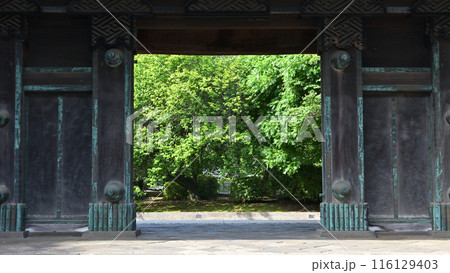 東京国立博物館、池田家上屋敷表門（黒門） 116129403