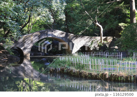 東京都港区南麻布の有栖川宮記念公園の風景 116129500