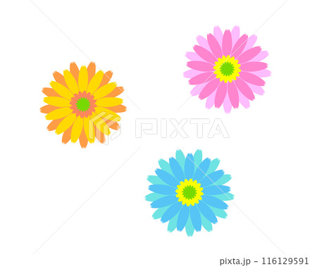 カラフルなガーベラのイラストセット 116129591