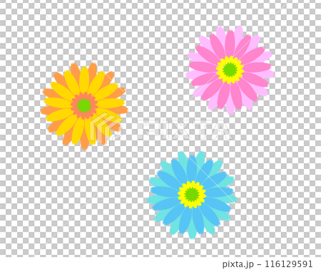 Colorful gerbera illustration set 116129591