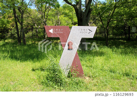 世界文化遺産百舌鳥古墳群の周遊路と仁徳天皇陵 世界文化遺産百舌鳥古墳群の周遊路と仁徳天皇陵 116129693