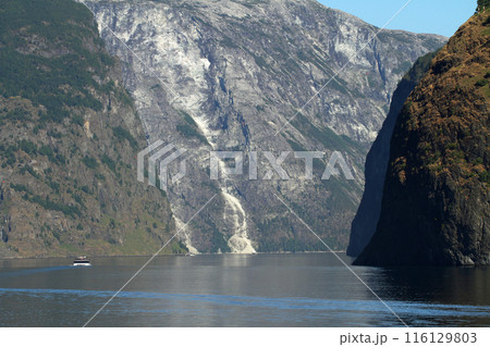 ノルウェーフィヨルドの断崖絶壁の峡谷を渡る遊覧船 ノルウェーフィヨルドの断崖絶壁の峡谷を渡る遊覧船 116129803