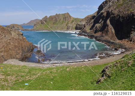 礼文島の澄海岬 展望台 116129815