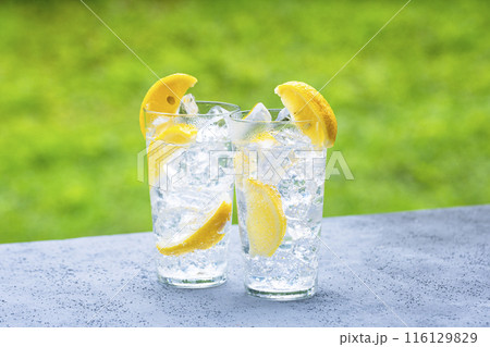 レモンサワー　レモン酎ハイ 116129829