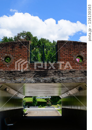 東沢バラ公園　トンネルと青空　村山市　山形県　 116130163