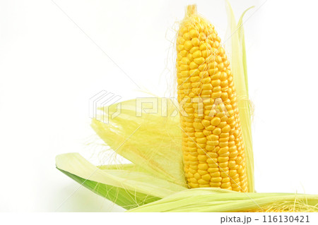 とうもろこし(おひさまコーン) とうもろこし(おひさまコーン) 116130421