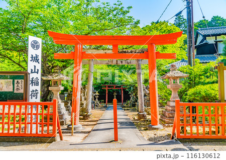 島根 城山稲荷神社　参道の鳥居 116130612