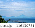葉山あじさい公園から望む相模湾と富士山 116130781