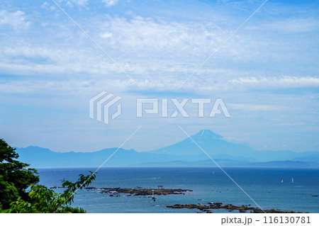 葉山あじさい公園から望む相模湾と富士山 116130781