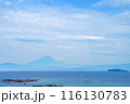 葉山あじさい公園から望む相模湾と富士山と江の島 116130783