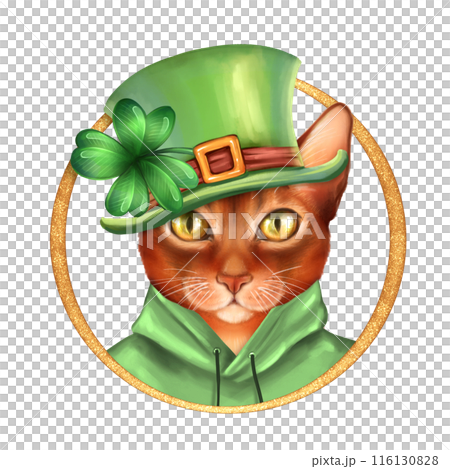 Cute ginger cat wearing st patrick's hat. Illustration for Saint Patrick's Day Cute ginger cat wearing st patrick's hat. Illustration for Saint Patrick's Day 116130828