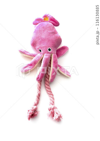 toy for dogs toy for dogs 116130885