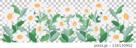 white flowers row 116130902