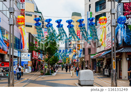 八王子市　西放射線ユーロードの七夕飾り 116131249