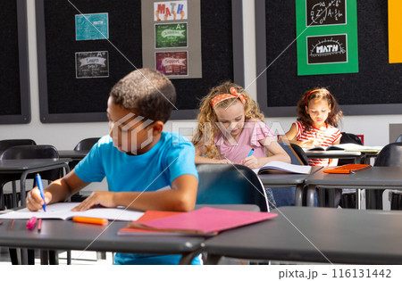 In school, diverse group of young students is focusing on their work in the classroom In school, diverse group of young students is focusing on their work in the classroom 116131442