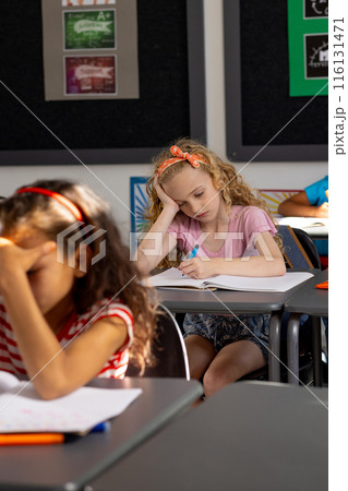 In school, in the classroom, biracial girl and a Caucasian girl, both young, focusing on their work In school, in the classroom, biracial girl and a Caucasian girl, both young, focusing on their work 116131471