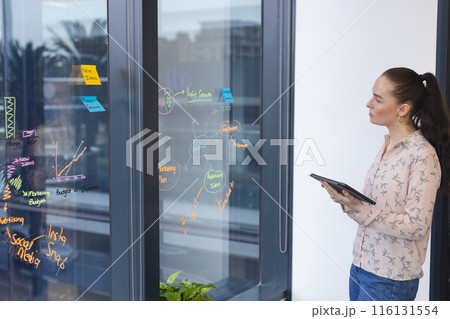 Caucasian woman holding tablet, looking at glass wall with notes in a modern business office Caucasian woman holding tablet, looking at glass wall with notes in a modern business office 116131554