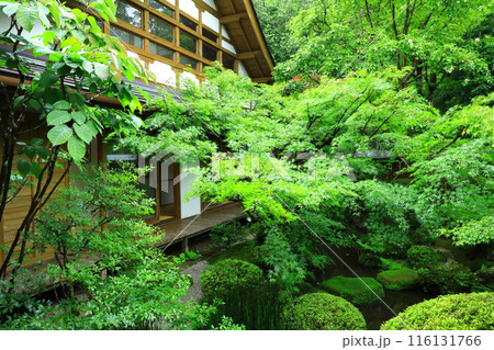 京都大原の里　宝泉院 116131766