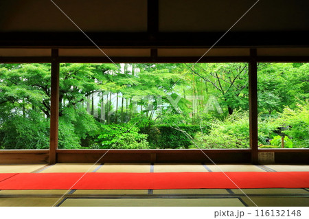 京都大原の里　宝泉院　額縁庭園 116132148