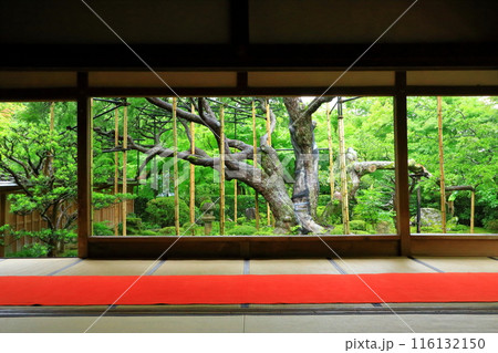 京都大原の里　宝泉院　額縁庭園 116132150