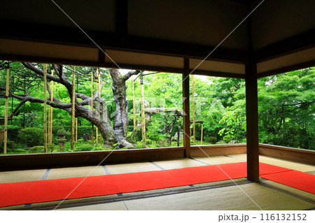 京都大原の里 宝泉院 額縁庭園 京都大原の里 宝泉院 額縁庭園 116132152