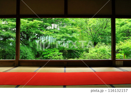 京都大原の里 宝泉院 額縁庭園 京都大原の里 宝泉院 額縁庭園 116132157