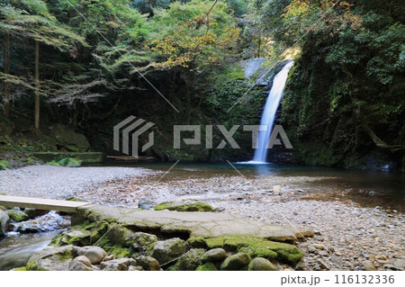 飛騨金山　滝巡り・4（岐阜県下呂市金山） 116132336