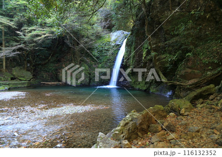 飛騨金山　滝巡り・20（岐阜県下呂市金山） 116132352