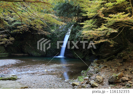 飛騨金山　滝巡り・22（岐阜県下呂市金山） 116132355
