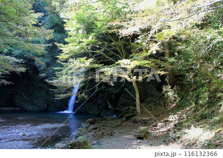 飛騨金山　滝巡り・26（岐阜県下呂市金山） 116132366