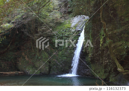 飛騨金山 滝巡り・29(岐阜県下呂市金山) 飛騨金山 滝巡り・29(岐阜県下呂市金山) 116132373