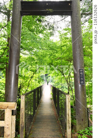 【那須塩原市 日光国立公園 回顧園地 塩原渓谷歩道「回顧の吊橋」】 【那須塩原市 日光国立公園 回顧園地 塩原渓谷歩道「回顧の吊橋」】 116132626