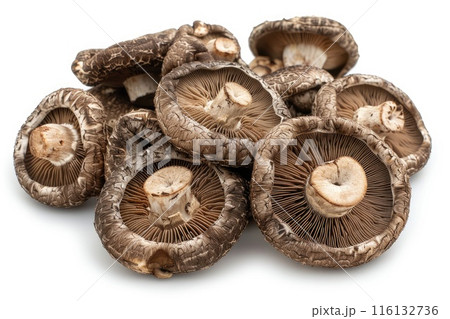 Overhead view of dried shiitake mushrooms on white background Overhead view of dried shiitake mushrooms on white background 116132736