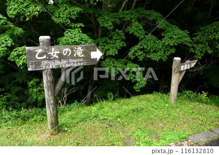 【那須塩原市 日光国立公園 那須高原スカイライン 落差約10m「乙女の滝」遊歩道の標識】 【那須塩原市 日光国立公園 那須高原スカイライン 落差約10m「乙女の滝」遊歩道の標識】 116132810