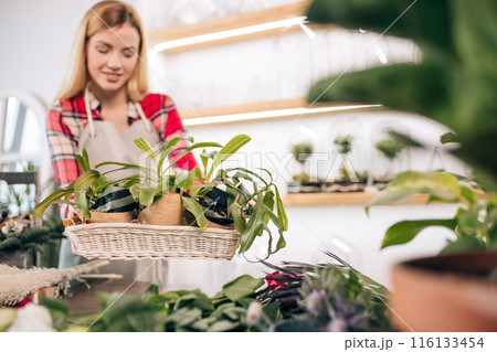 woman florist, small business owner checking her fresh flowers, plants stocks and inventory 116133454
