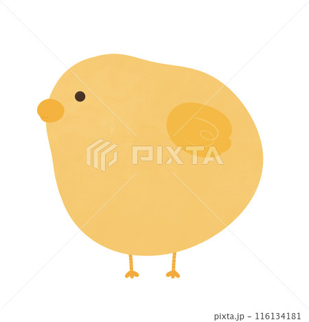 Chick Cartoon illustration Cute Yellow Chick Cartoon Animal Farm Cartoon Chick Cartoon illustration Cute Yellow Chick Cartoon Animal Farm Cartoon 116134181