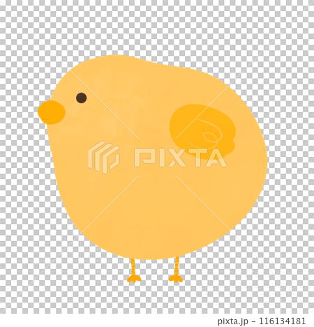 Chick Cartoon illustration Cute Yellow Chick Cartoon Animal Farm Cartoon Chick Cartoon illustration Cute Yellow Chick Cartoon Animal Farm Cartoon 116134181