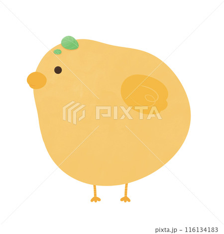 Chick Cartoon illustration Cute Yellow Chick Cartoon Animal Farm Cartoon 116134183