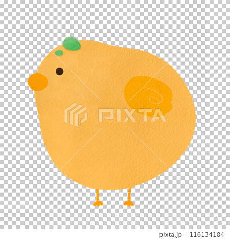 Chick Cartoon illustration Cute Yellow Chick Cartoon Animal Farm Cartoon 116134184