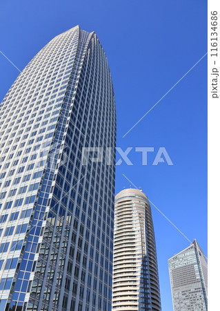 東京都港区芝公園の風景 116134686