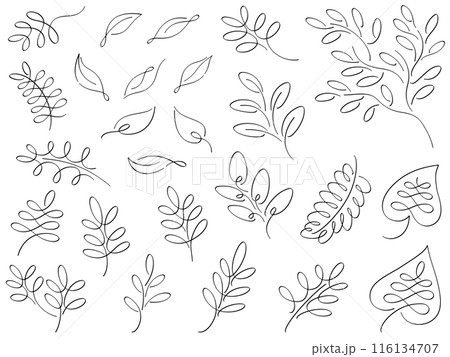 カリグラフィー調の植物の線画イラストセット 116134707