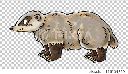 Badger 116134739