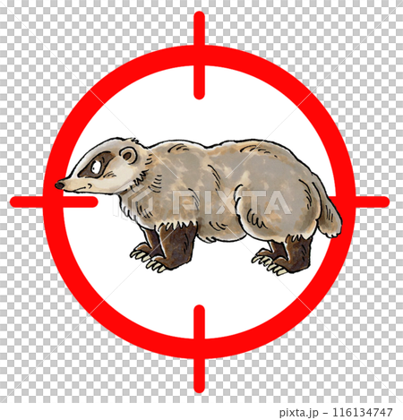 Badger target mark 116134747